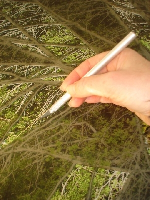 Die Künstlerin bei der Arbeit Die Künstlerin bei der Arbeit