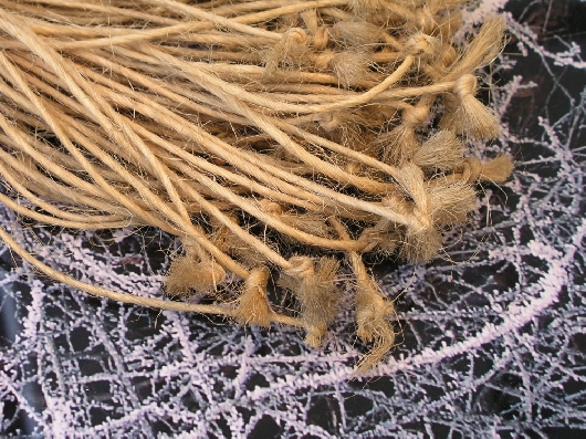 Aufbrechender Winterbaum Detail