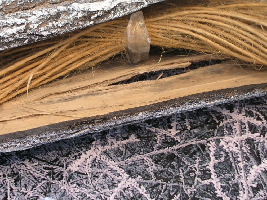 Aufbrechender Winterbaum Detail