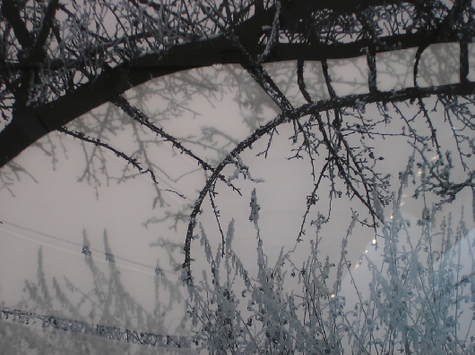 Baumwelle I Detail rechts