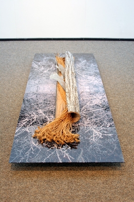 Aufbrechender Winterbaum